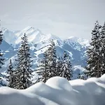 Zederberg * Sankt Johann im Pongau