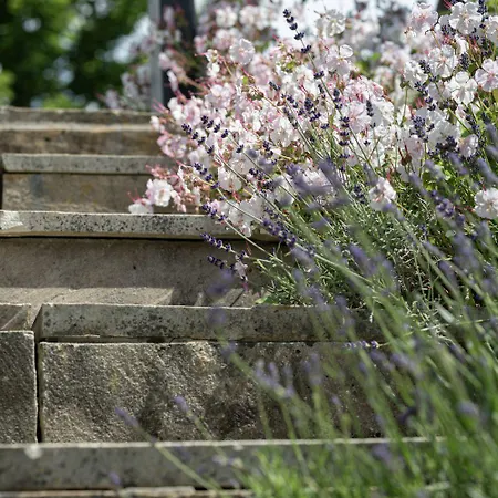 Zederberg * Sankt Johann im Pongau