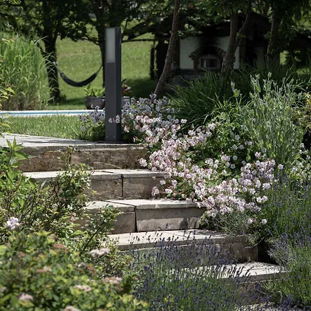 Zederberg * Sankt Johann im Pongau