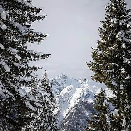 Διαμέρισμα Zederberg *