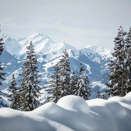 Zederberg * Sankt Johann im Pongau