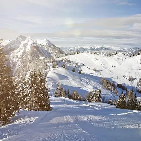 Апартаменты Zederberg *