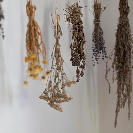 Zederberg Διαμέρισμα