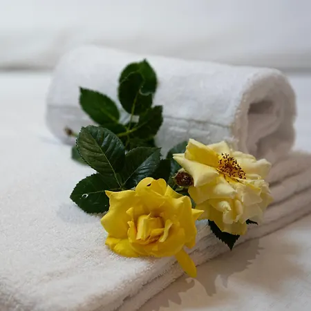 Διαμέρισμα Zederberg Sankt Johann im Pongau