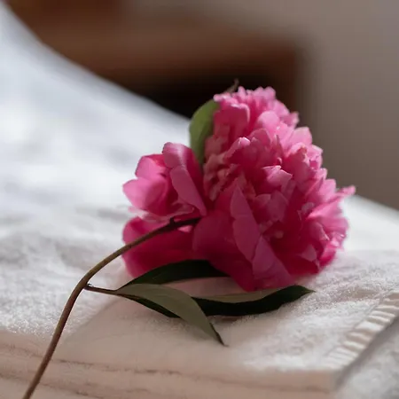 Zederberg Sankt Johann im Pongau