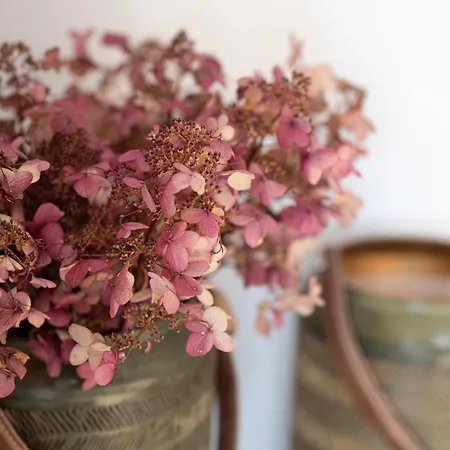 Zederberg Διαμέρισμα *