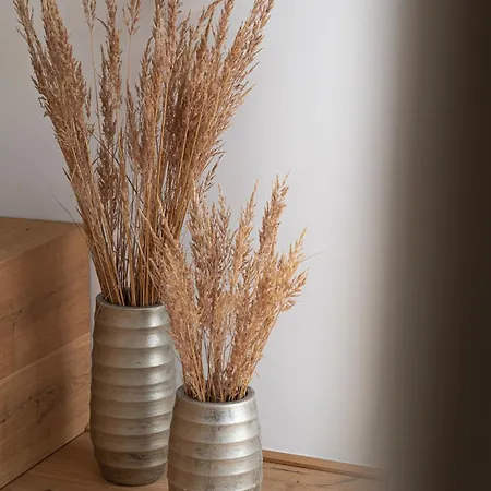 Zederberg Διαμέρισμα Sankt Johann im Pongau