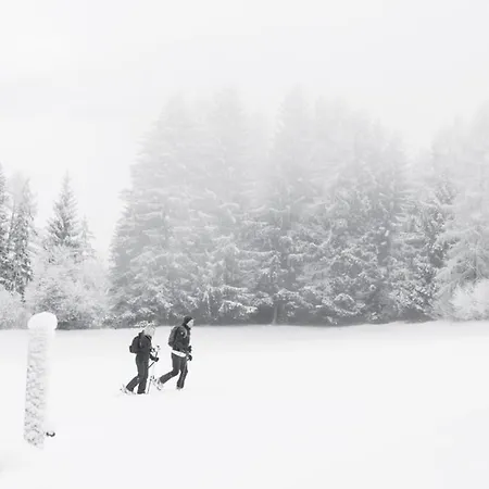 Διαμέρισμα Zederberg Sankt Johann im Pongau