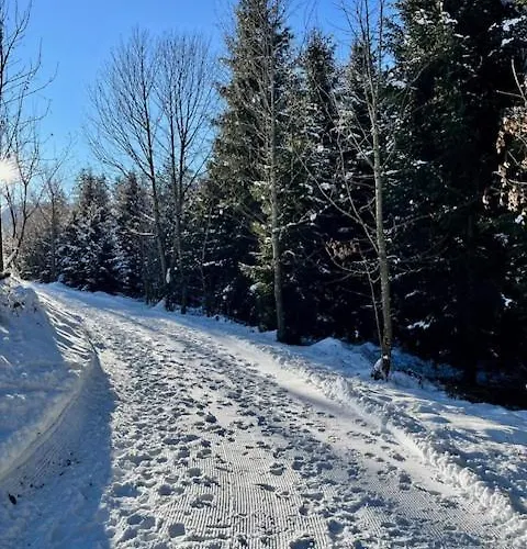 アパート Zederberg ザンクト・ヨーハン・イム・ポンガウ